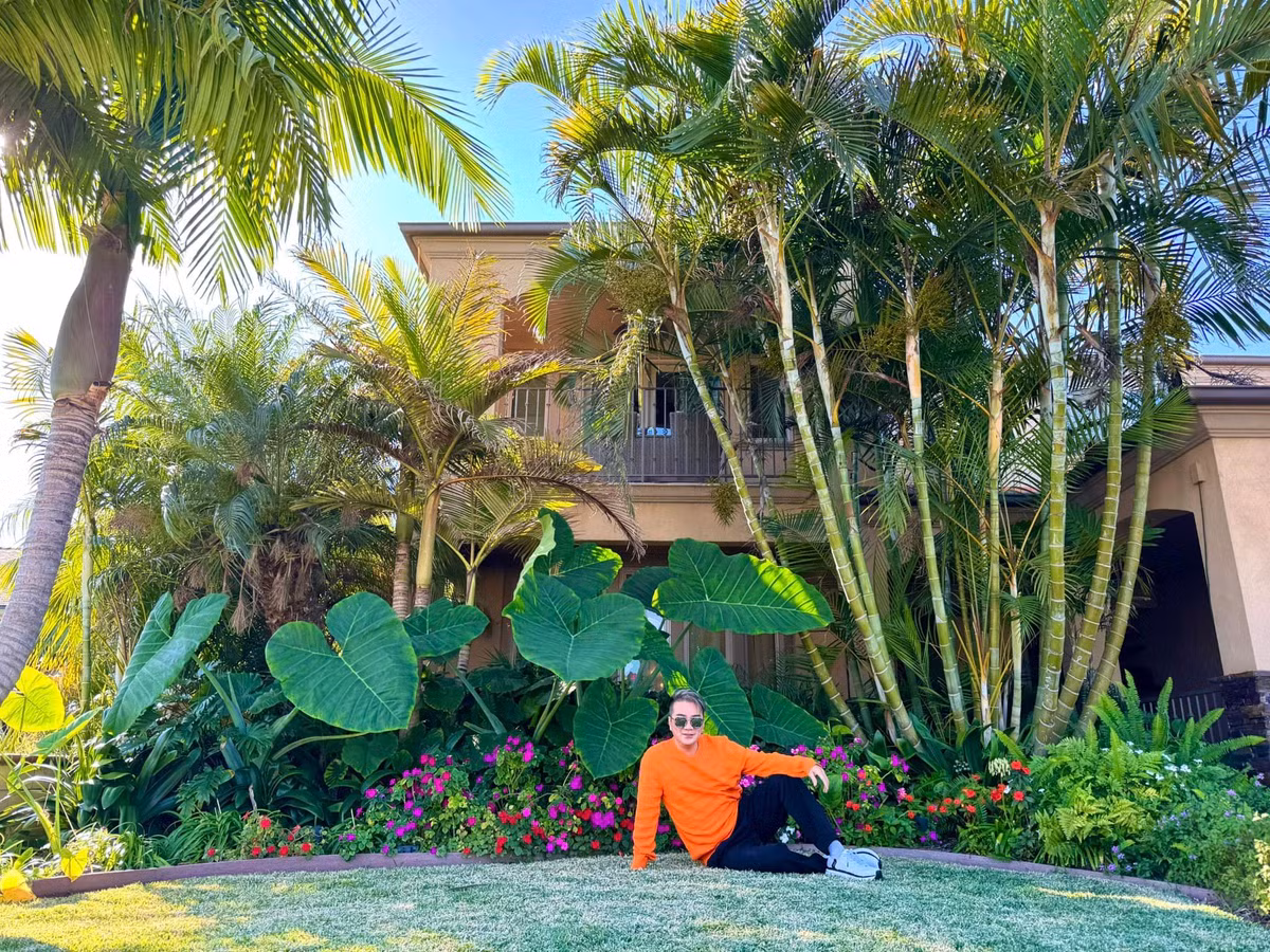 Trước đó ít ngày, Đàm Vĩnh Hưng chia sẻ hình ảnh khu vườn phía trước biệt thự với nhiều cây và hoa. Ảnh: FB Dam Vinh Hung