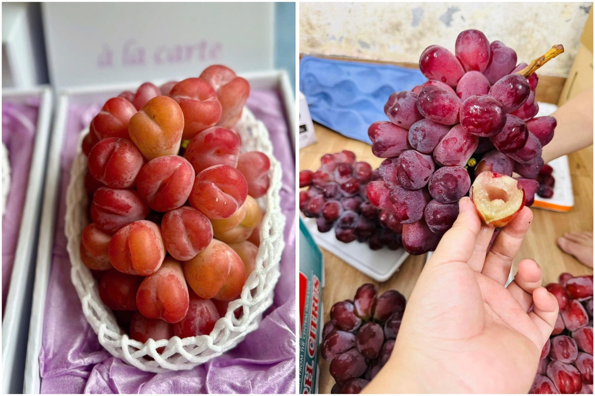 Khi mới xuất hiện tại thị trường Việt, nho “trái tim mùa thu” Nhật Bản giá từ 2-2,3 triệu đồng/kg. Nhưng khi Trung Quốc mở rộng diện tích trồng và đưa sang chợ Việt, loại nho “quý tộc” giá phổ biến ở mức trên dưới 150.000 đồng/kg. Ảnh: Công luận