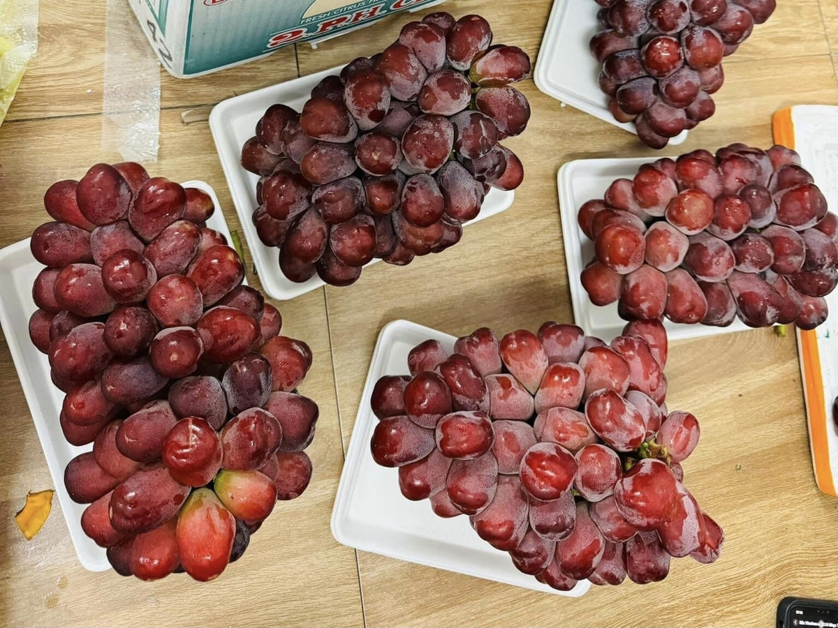 Mức giá này rẻ chỉ bằng 1/10, thậm chí chỉ bằng 1/15 so với giá nho có xuất xứ từ Nhật Bản. Ảnh: Công luận