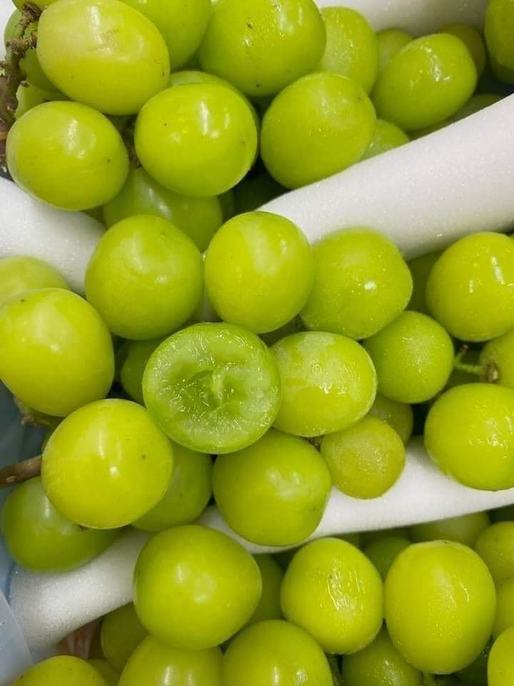 Với mức giá này, người tiêu dùng Việt dễ dàng mua được những chùm nho sữa Trung Quốc quả to, căng bóng, ngọt lịm và thơm mùi sữa ở bất kỳ cửa hàng, hay chợ nào. Ảnh: Facebook