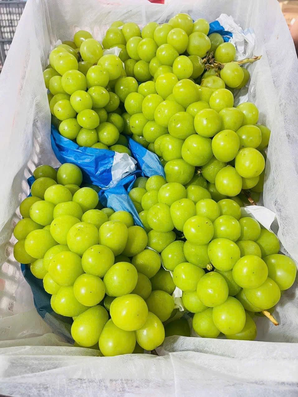 Do giá rẻ, nho sữa Trung Quốc rất hút khách. Không ít đầu mối tiêu thụ hết gần 1 tấn bao hồm cả bán buôn và bán lẻ mỗi ngày. Ảnh: Facebook