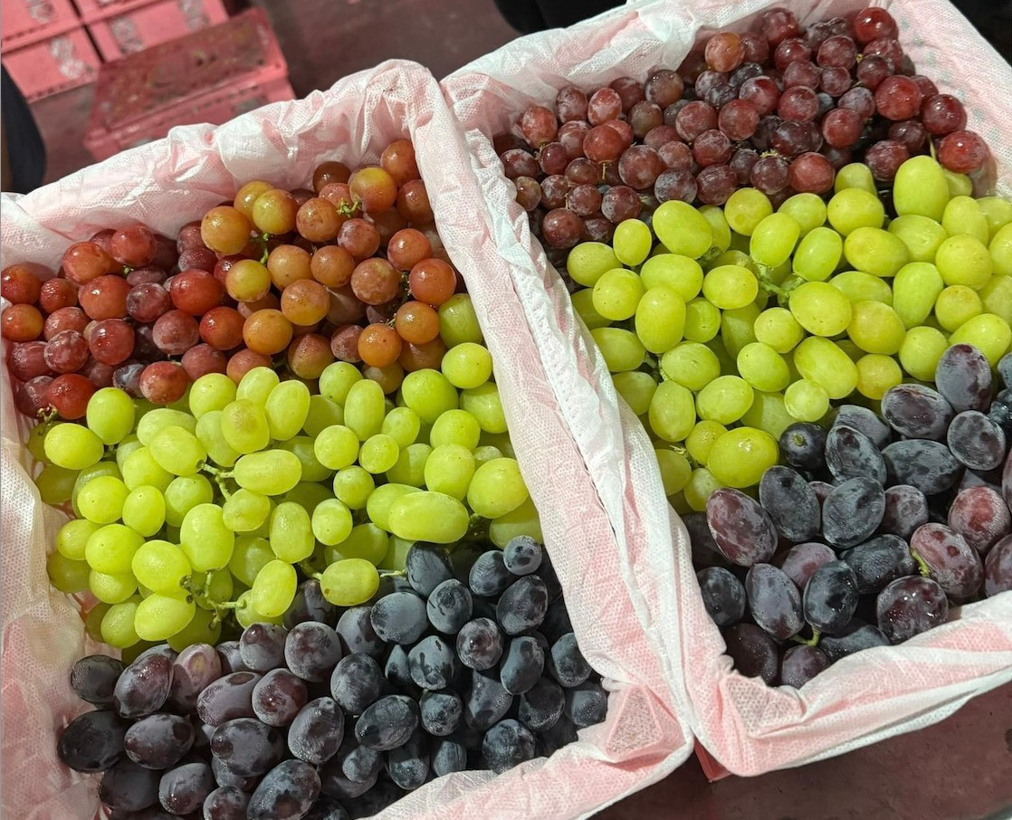 Thời gian gần đây, trên thị trường xuất hiện nhiều loại nho Trung Quốc có giá bán thấp hơn nhiều trái cây trong nước. Ảnh: Facebook
