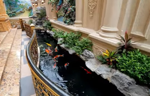 Phía trong khuôn viên sân vườn còn có hồ cá Koi, có tác dụng như một hồ điều hòa tự nhiên. Ảnh chụp màn hình NhaF