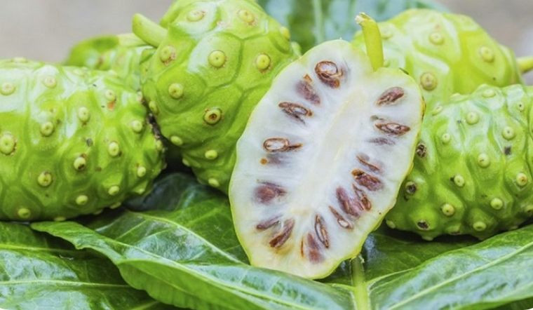 Khi bổ ra, bên trong quả nhàu có nhiều hạt dính vào nhau. Ảnh: Internet