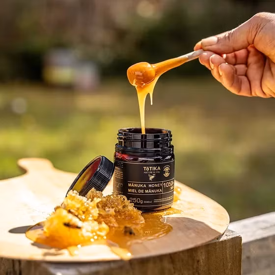 Hơn nữa, mật ong Manuka còn có khả năng tiêu diệt vi khuẩn kháng kháng sinh. Điều này khiến mật ong Manuka trở thành nguồn dược phẩm tự nhiên có giá trị cho y học. Ảnh: Happy Beekeeping