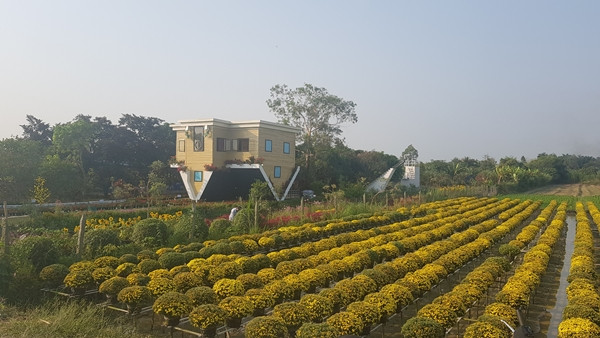 Khuôn viên nhà đẹp mắt với những tiểu cảnh như cầu thang vô cực, hàng rào trắng, lối đi vào được phủ thảm cỏ xanh mướt, có ao nuôi cá, hàng hoa hai bên khoe sắc rực rỡ...Ảnh: Langhoasadec