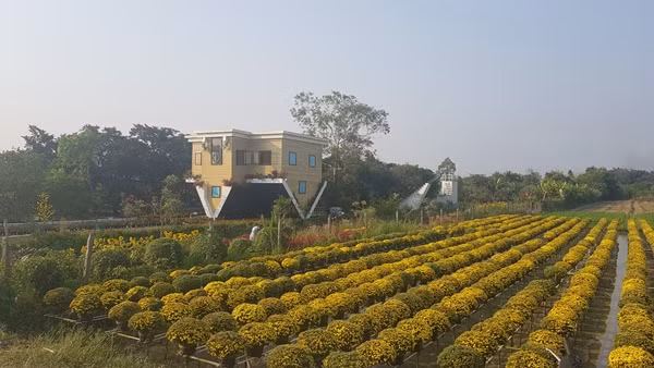 Khuôn viên nhà đẹp mắt với những tiểu cảnh như cầu thang vô cực, hàng rào trắng, lối đi vào được phủ thảm cỏ xanh mướt, có ao nuôi cá, hàng hoa hai bên khoe sắc rực rỡ...Ảnh: Langhoasadec