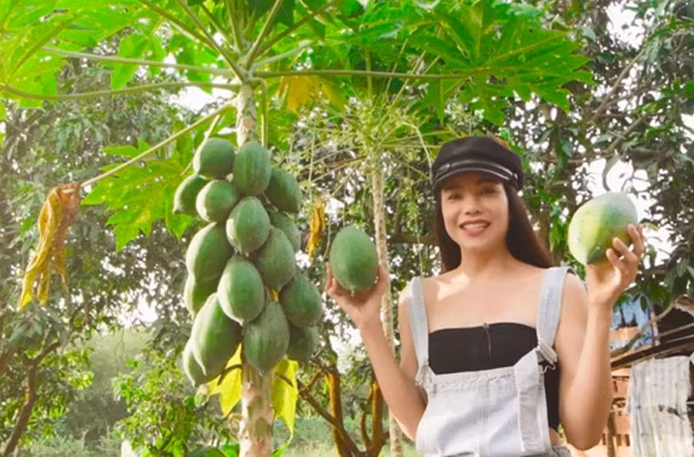 Có tiền, người mẫu xinh đẹp mua mảnh đất rộng 9.600m2 trị giá 3 tỷ ở Lâm Đồng, một khu vườn rộng 66.000m2 trị giá 15 tỷ ở Đồng Nai với mục đích trồng cây, nuôi cá... Cô thừa nhận mỗi năm lãi 500 triệu nhờ việc bán trái cây.