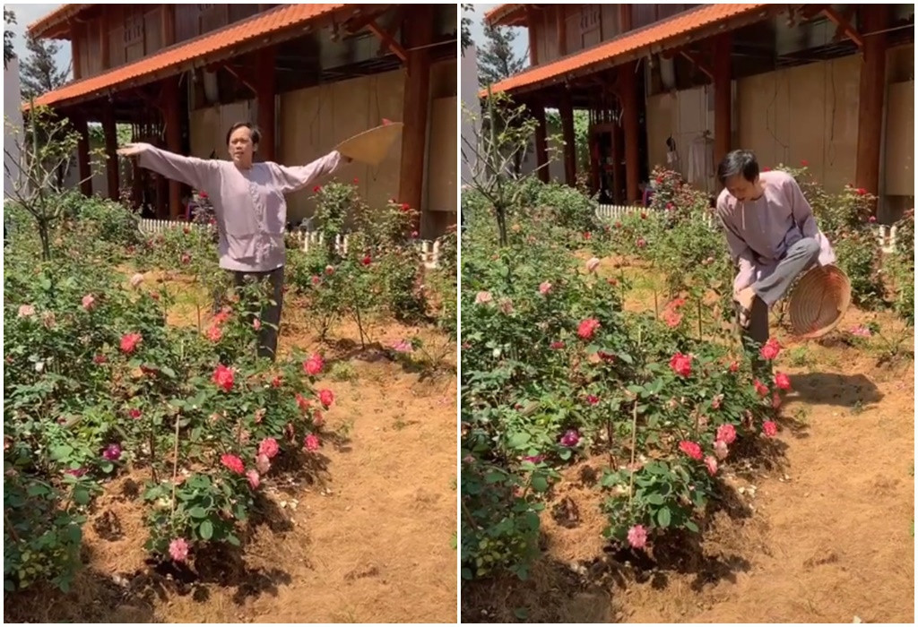 Không chỉ là một hot Youtuber, Hoài Linh còn được mệnh danh là một TikToker mới nổi. Theo đó, tài khoản chính thức của Hoài Linh đã lập kỳ tích khó tin khi đạt 3 triệu người theo dõi chỉ trong vòng 3 ngày.