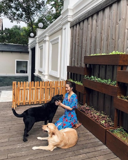 Một góc sân vườn được nữ diễn viên tạo thành vườn rau xanh mát.