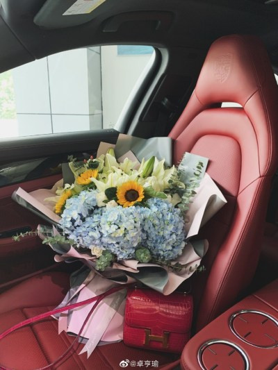 Không chỉ thường xuyên đăng ảnh quý tử, Trác Hanh Du còn khoe cuộc sống giàu sang bên ông xã thiếu gia với xe sang và túi hàng hiệu...