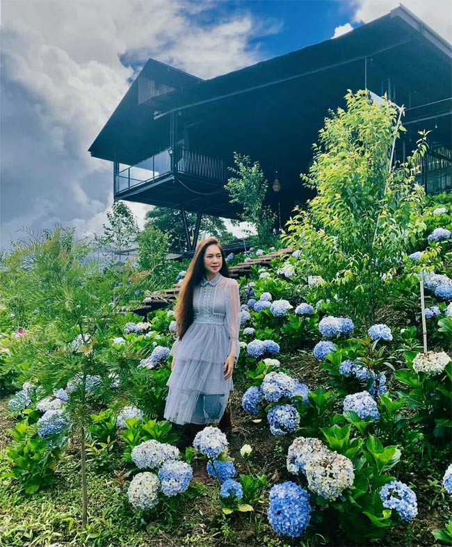 Vợ Lý Hải tha hồ thả dáng với vườn cẩm tú cầu trong trang trại.