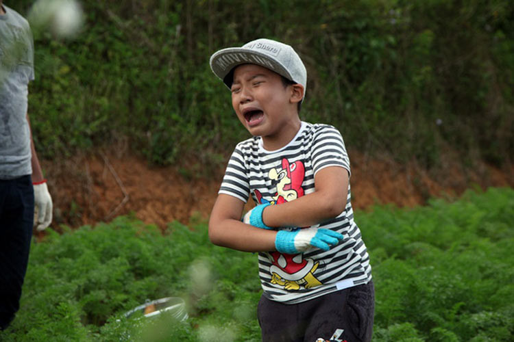 Hoàng Minh (Tê Giác) con trai nhạc sĩ, ca sĩ Hoàng Bách khi tham gia chương trình mới là cậu bé 7 tuổi. (Ảnh: VTV)