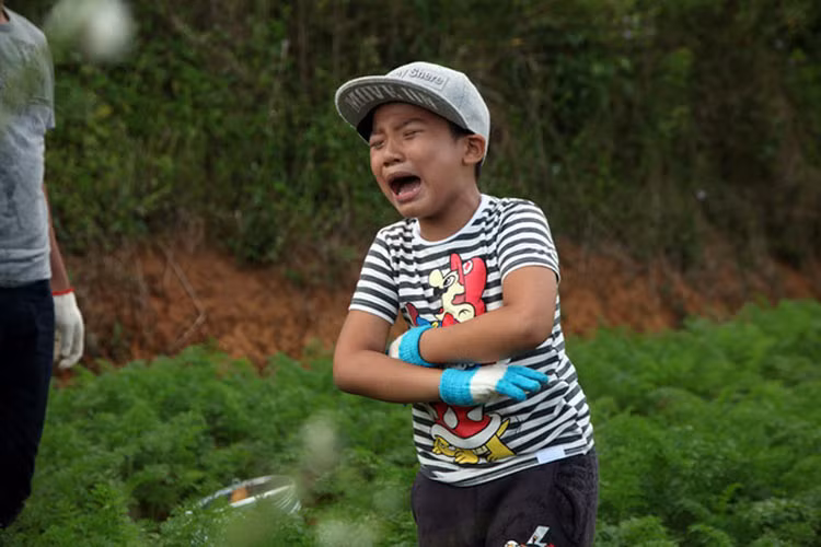 Hoàng Minh (Tê Giác) con trai nhạc sĩ, ca sĩ Hoàng Bách khi tham gia chương trình mới là cậu bé 7 tuổi. (Ảnh: VTV)
