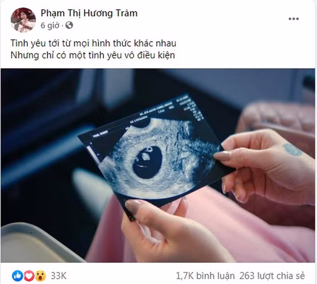 Cuoc song cua Huong Tram the nao trong 2 nam sang My?