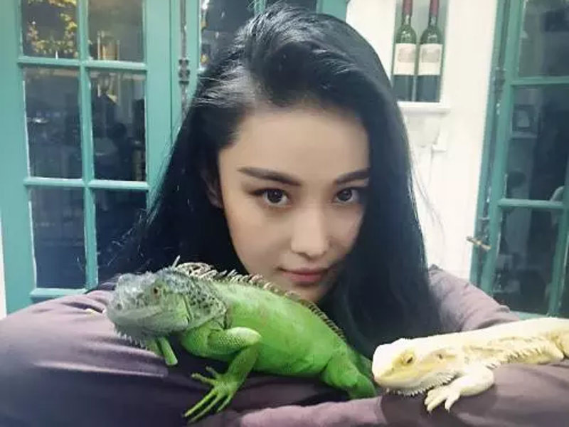 Nữ diễn viên Trương Hinh Dư thích nuôi thằn lằn và thoải mái để thú cưng bò khắp người trong lúc chụp ảnh chung. (Ảnh: internet)