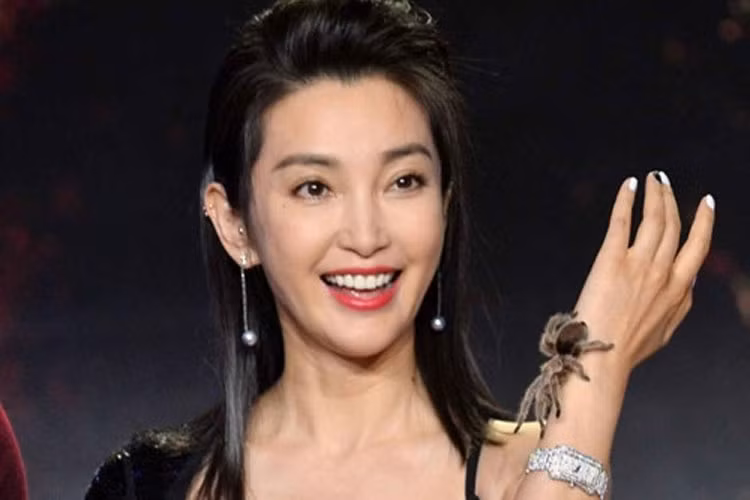 Nhiều thú cưng của sao cũng độc lạ không kém. Lý Băng Băng chọn một chú nhện khổng lồ làm thú cưng và mang nó đi dự sự kiện cùng. (Ảnh: weibo)