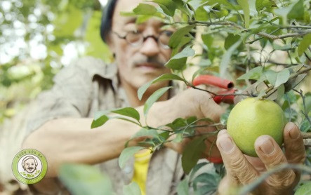 Anh chia sẻ quyết định dũng cảm bỏ phố về quê để bớt bon chen, thôi mệt mỏi.