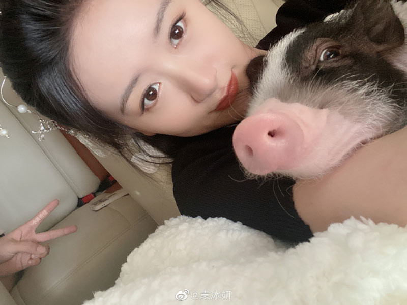 Trên trang cá nhân của nữ diễn viên, Thẩm Ngạo Ngạo cũng nhiều lần được cô chủ khoe ảnh chụp chung.