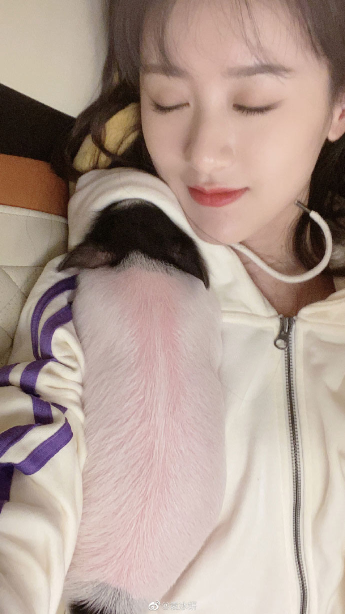 Thời gian rảnh ở nhà, người đẹp họ Viên bế ẵm chú lợn cả ngày.