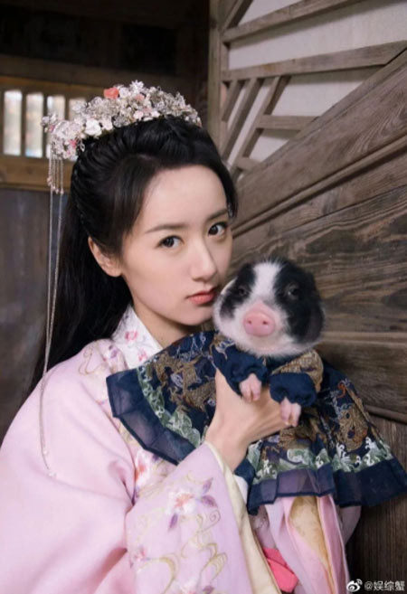 Viên Băng Nghiên đặc biệt yêu quý chú lợn Thẩm Ngạo Ngạo đến nỗi đi đâu cô cũng cho nó đi theo cùng, kể cả tới phim trường.