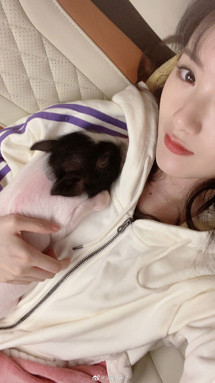 Cũng vì chú lợn cưng của mỹ nhân "Diệp Vấn" mà đã xảy ra tranh cãi giữa trợ lý và một vị khách tới ăn tại nhà hàng khi trợ lý của Băng Nghiên cho rằng người này đã cố tình giấu con lợn đi.