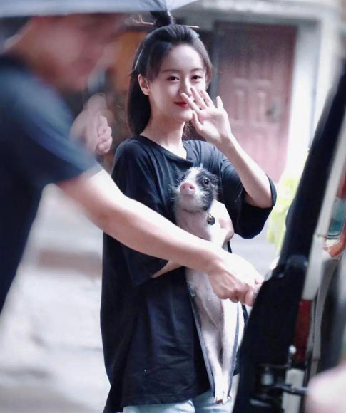 Thỉnh thoảng, Viên Băng Nghiên lại cho thú cưng ra ngoài đi chơi, đi làm cùng mình.