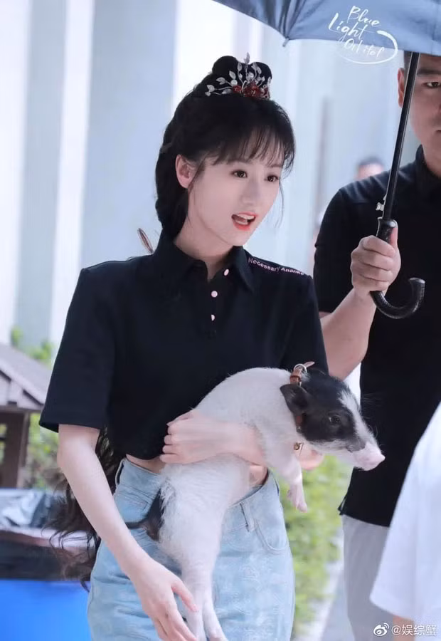 Viên Băng Nghiên nuôi lợn làm thú cưng, nghiện tới mức gây sốc Vien Bang Nghien nuoi lon lam thu cung, nghien toi muc gay soc