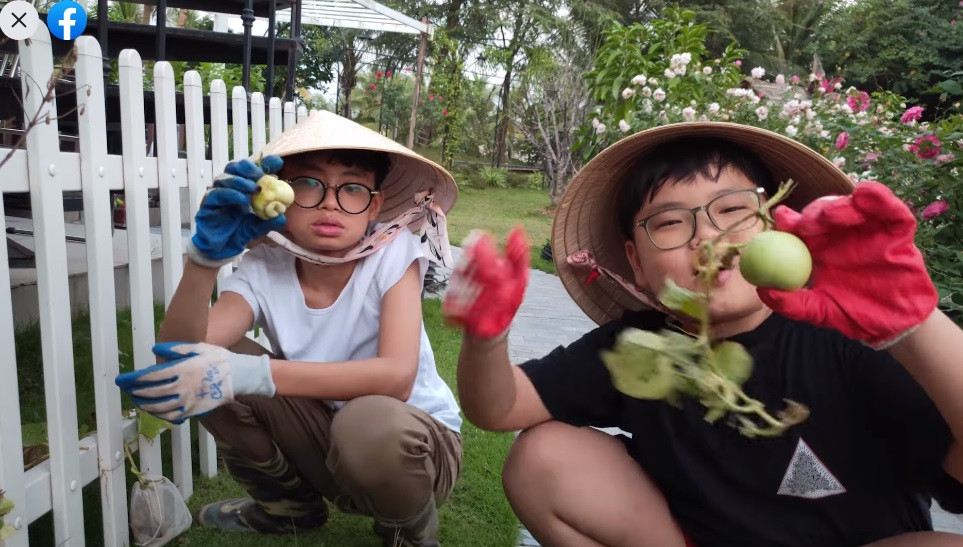 Những lúc rảnh rỗi, hai anh em Minh Bủm và Bi Béo phụ bố mẹ chăm sóc "khu vườn khủng nhà Xuân Bắc".