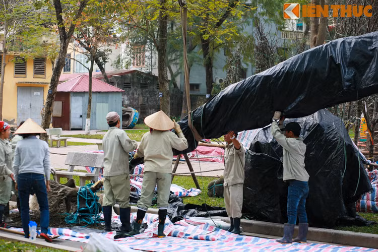 "150 gốc cây anh đào này đều được vận chuyển theo đường biển về Việt Nam"- nhân viên môi trường nói trên cho biết. Khi tập kết tại công viên Thống Nhất (Hà Nội), tất cả đều được bảo quản cẩn thận. Lớp nilon màu đen bọc bên ngoài là giải pháp hữu hiệu để bảo vệ các cành hoa.