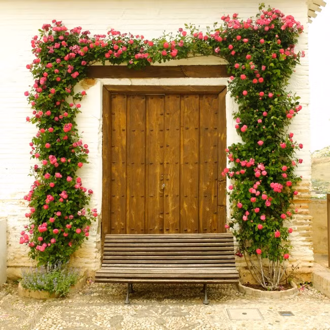 Khung cửa trong truyện cổ tích cũng chỉ được thế này là cùng chứ gì.