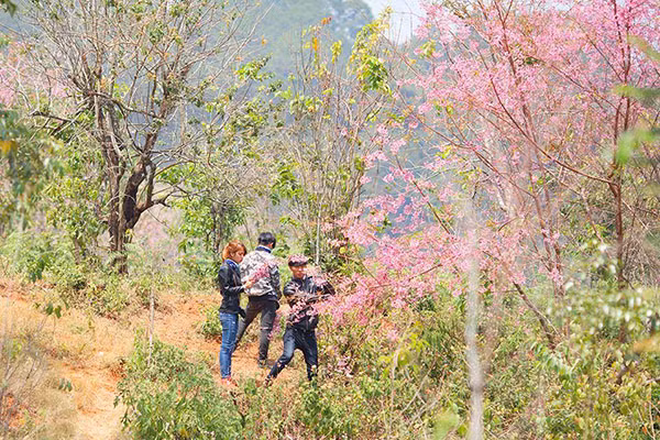 Hình ảnh này được đăng tải bởi một nhiếp ảnh gia người Đà Lạt. Nhiếp ảnh gia này đã bắt gặp tình huống 'khó nhìn' của phượt thủ khi đến quê hương mình và phải thốt lên rằng: 'Tôi sợ các bạn rồi đấy', 'Cho chúng tôi xin'…