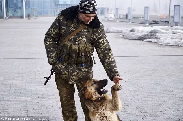 Thành viên của lực lượng dân quân Donetsk chơi với chó khi tuần tra thành phố.