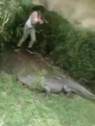 Cô gái bị ngã xuống đất nhưng đã nhanh chóng đứng dậy được.