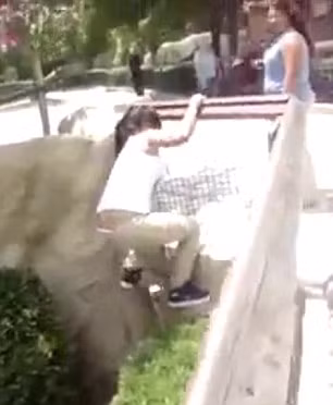 Sau sự việc, nữ du khách đã bị cấm tham quan vườn thú La Pastora.