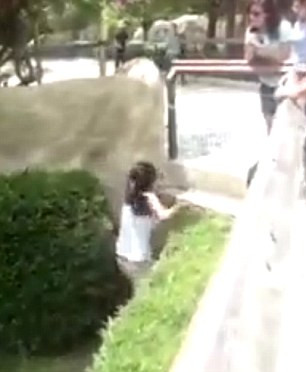 Nhân cơ hội cá sấu chưa tỉnh ngủ, cô gái chạy vội về phía hàng rào và trèo ra ngoài.