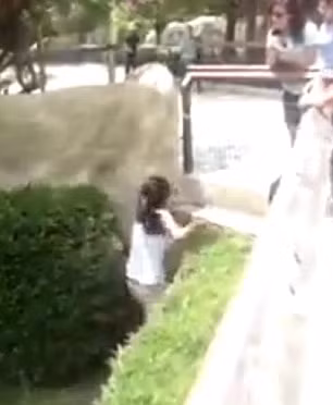 Nhân cơ hội cá sấu chưa tỉnh ngủ, cô gái chạy vội về phía hàng rào và trèo ra ngoài.