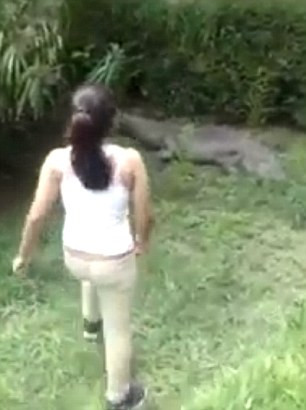 Cô gái đi qua bãi cỏ để tiếp cận cá sấu đang nằm ngủ.