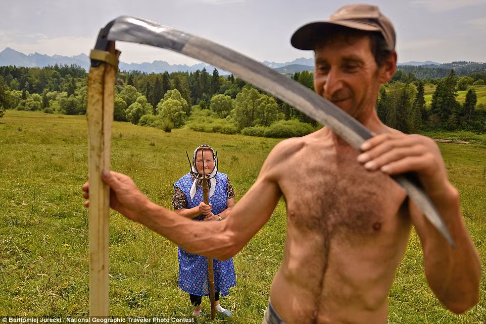 Nông dân dùng hái cắt cỏ ở Ba Lan.