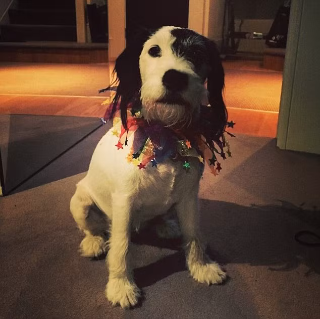 Miley đeo chiếc vòng cổ do ngôi sao Chris Smalling mua tặng.