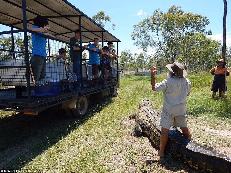 Các du khách thích thú xem ông Bredl chơi đùa với cá sấu.