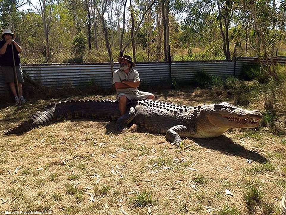 Cả gia đình ông Bredl đều tham gia vào các hoạt động tại trang trại.