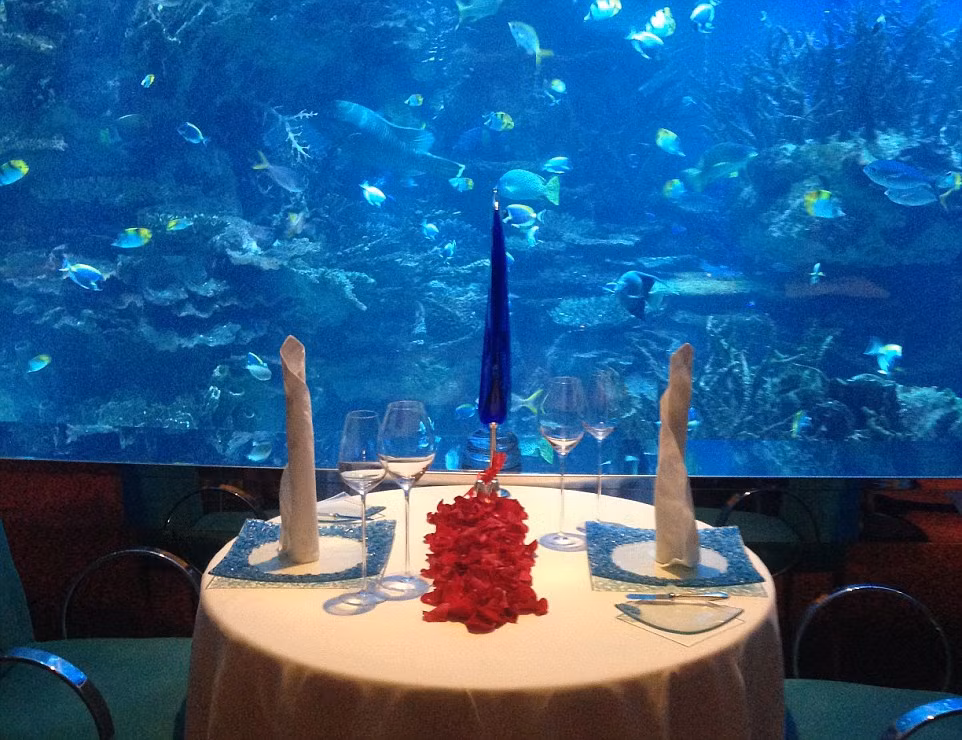 Nhà hàng được bao quanh bởi một thủy cung khổng lồ.