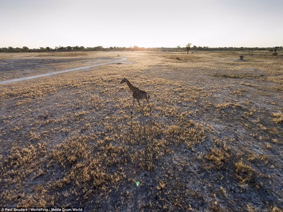 Paul ban đầu mong muốn trở thành phóng viên ảnh thời sự, nhưng sau đó ông dành nhiều đam mê chụp ảnh về động vật hoang dã.