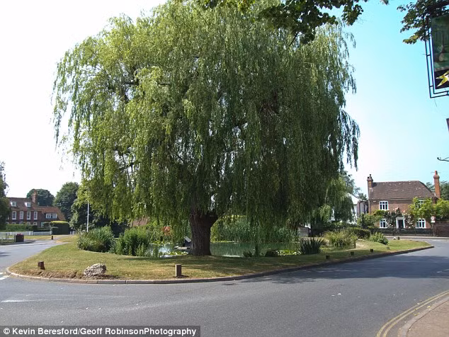 Hồ vịt nằm trong bùng binh ở Otford, Anh.