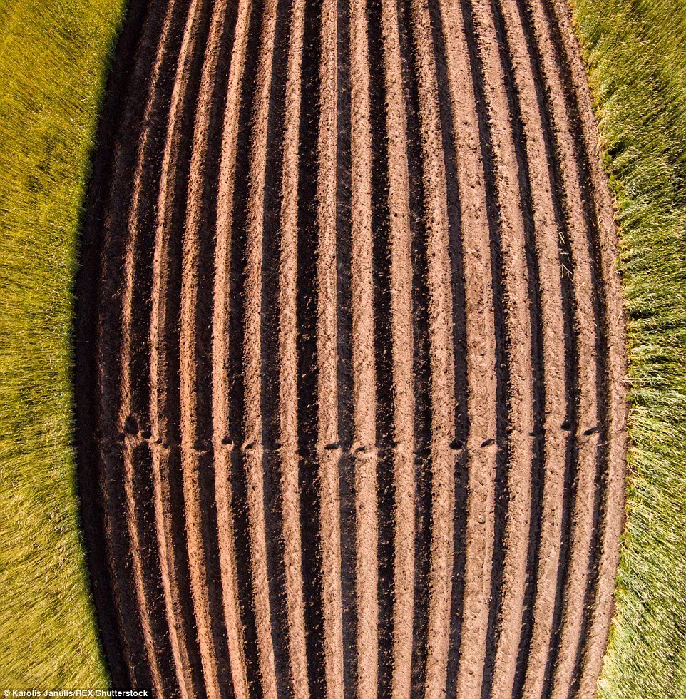 Ảnh chụp từ trên cao một cánh đồng vừa mới cày xong.