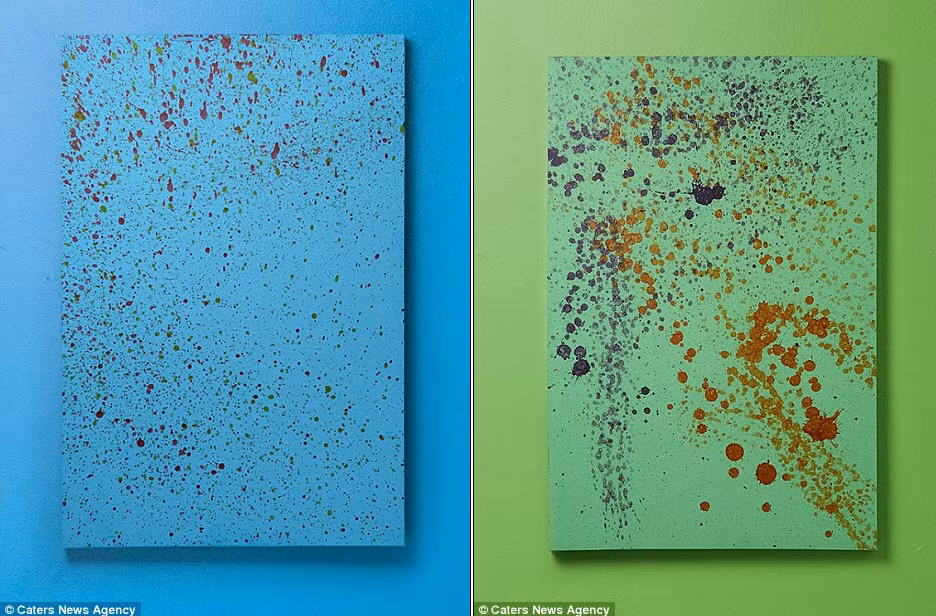 Sau khi đứng gần giá vẽ, những chú chó lắc cơ thể để màu bắn lên giá, tạo ra những bức tranh rất ‘ngoạn mục’.