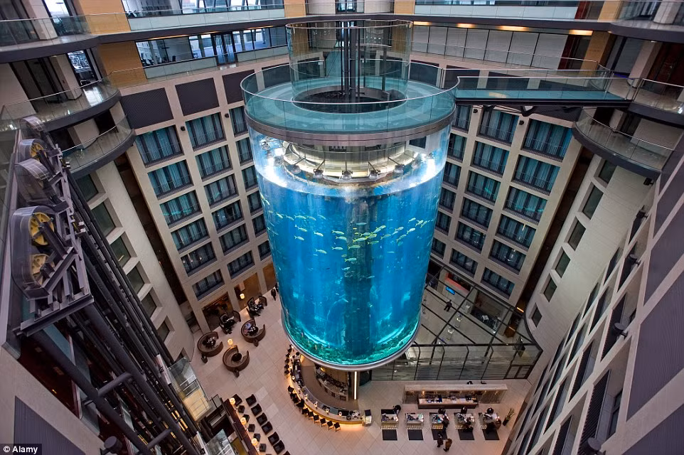  Bể thủy sinh hình trụ khổng lồ AquaDom nằm trong khách sạn Radisson Blu ở Berlin, Đức.