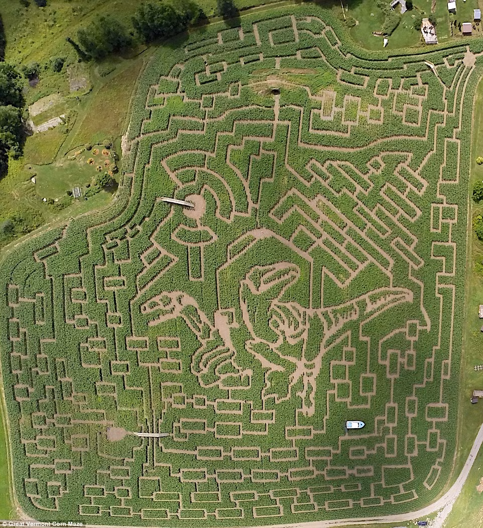 Du khách thường phải mất 3 giờ để tìm được lối ra khi lạc vào mê cung rộng lớn cây ngô ở North Danville, Vermont, Mỹ.