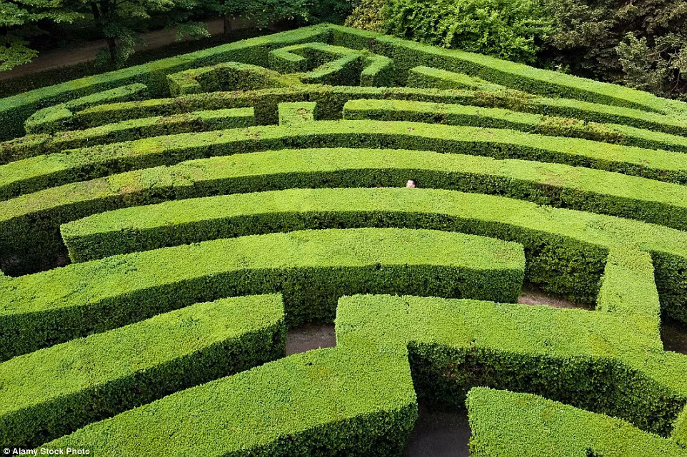 Du khách thích thú khám phá mê cung Villa Pisani ở Veneto, Italia.